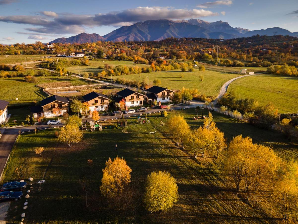 Green Resort Bran Bran  Zewnętrze zdjęcie