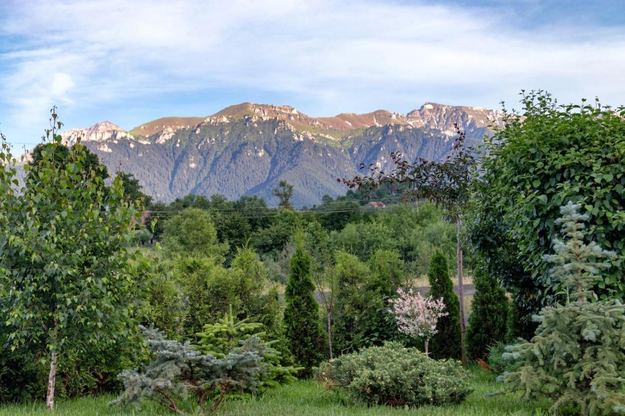 Green Resort Bran Bran  Zewnętrze zdjęcie