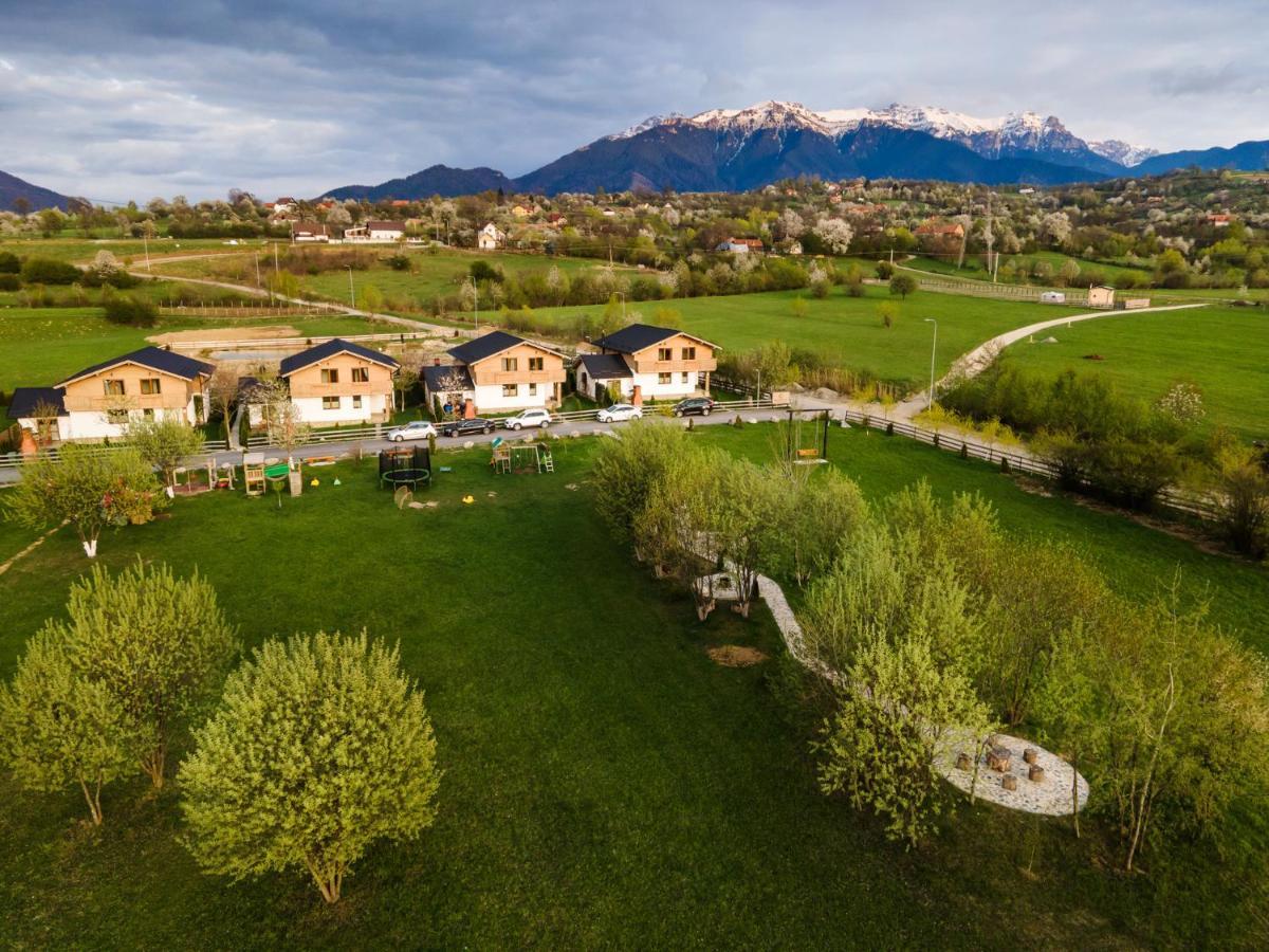 Green Resort Bran Bran  Zewnętrze zdjęcie