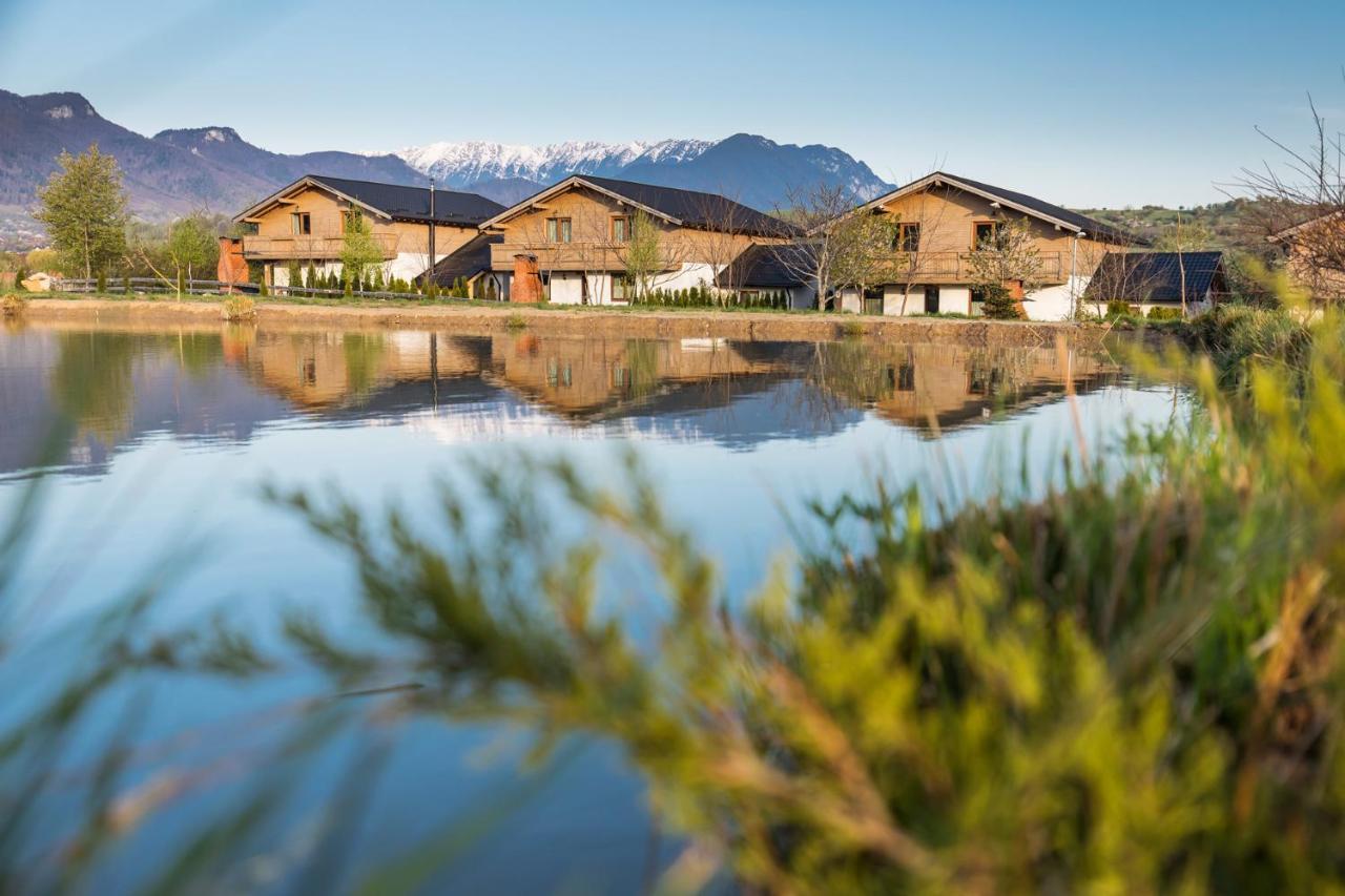 Green Resort Bran Bran  Zewnętrze zdjęcie