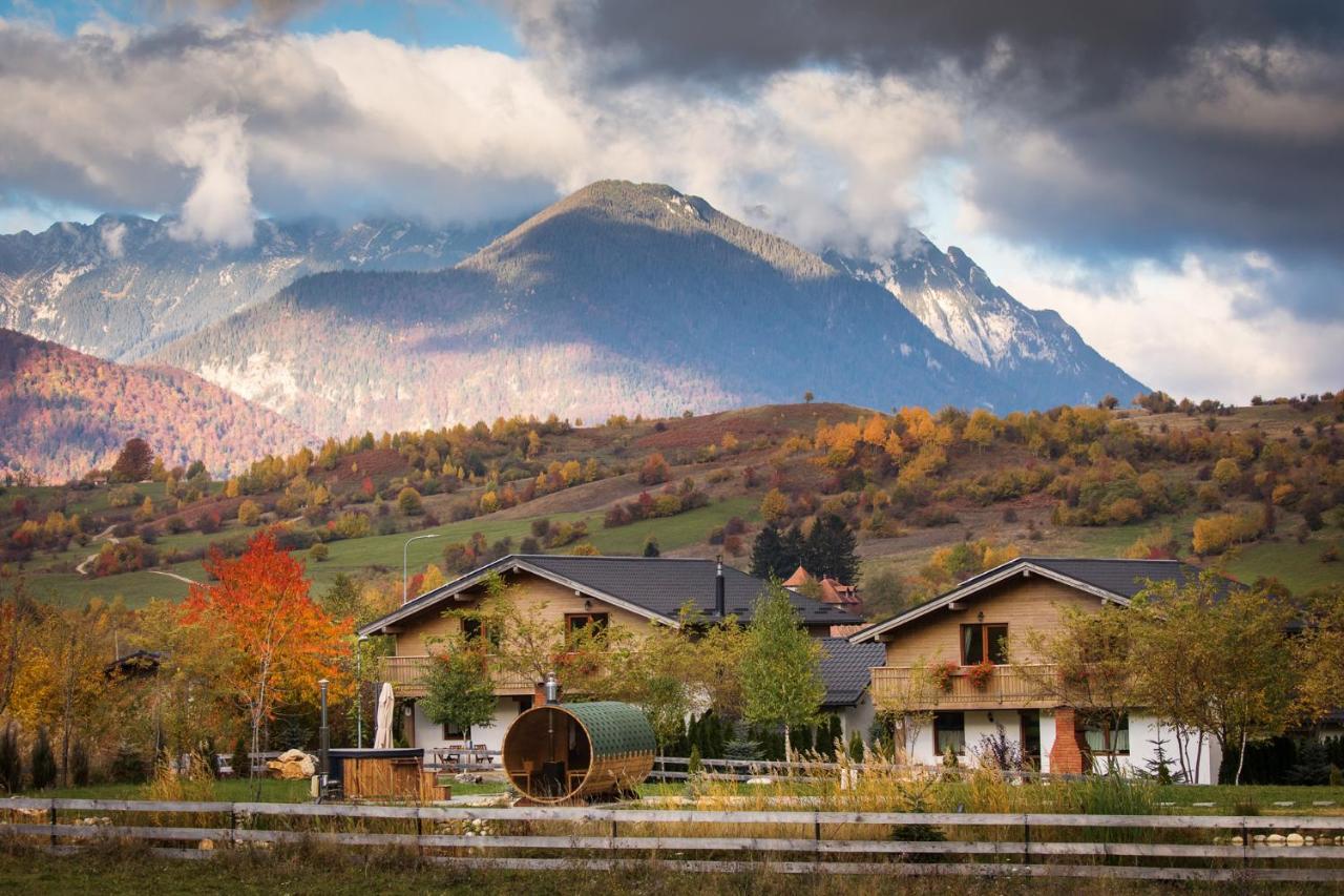 Green Resort Bran Bran  Zewnętrze zdjęcie