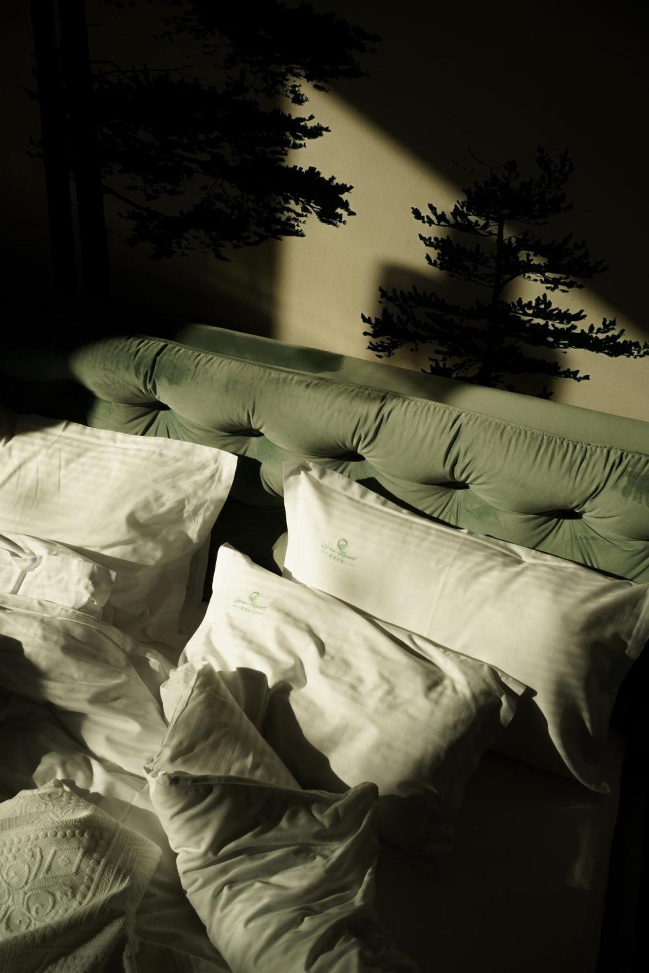 Green Resort Bran Bran  Zewnętrze zdjęcie