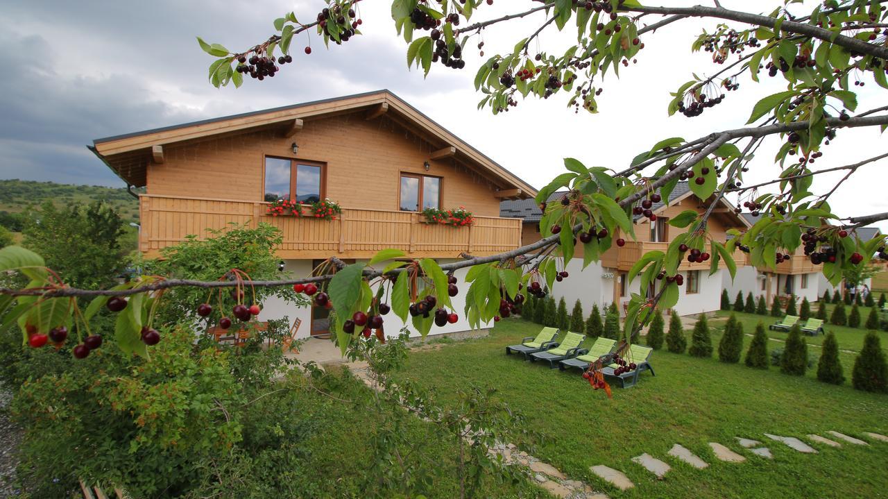 Green Resort Bran Bran  Zewnętrze zdjęcie